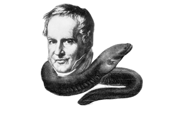 1804