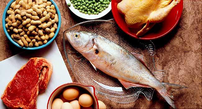 high protein