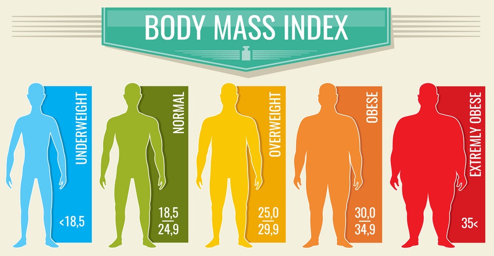 bmi calculator